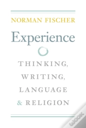 Capa do artigo Experience