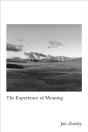 Experience Of Meaning - Preview