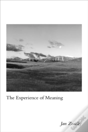Capa do artigo Experience Of Meaning