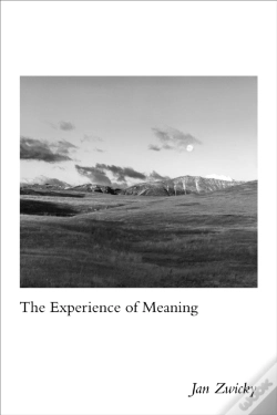Capa do artigo Experience Of Meaning