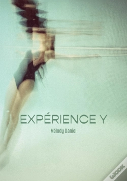 Capa do artigo Expérience Y