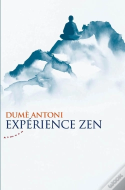 Capa do artigo Expérience Zen