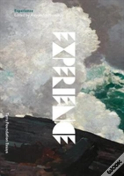 Capa do artigo Experience