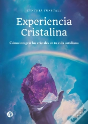 Capa do artigo Experiencia Cristalina
