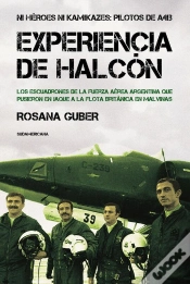Capa do artigo Experiencia De Halcón