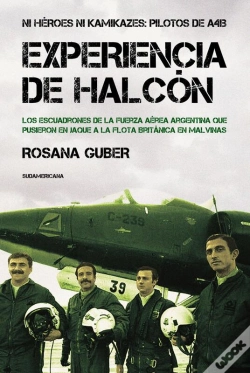Capa do artigo Experiencia De Halcón