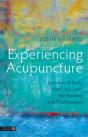 Experiencing Acupuncture - Preview