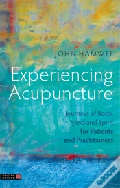 Capa do artigo Experiencing Acupuncture