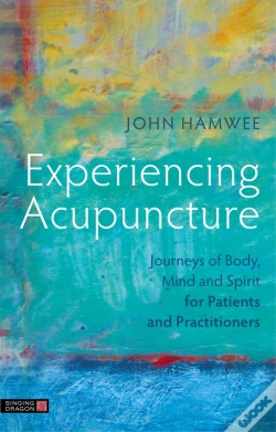 Capa do artigo Experiencing Acupuncture