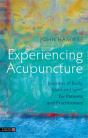 Experiencing Acupuncture - Preview