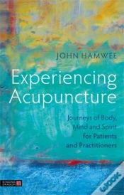 Capa do artigo Experiencing Acupuncture
