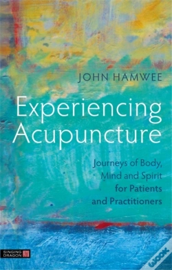 Capa do artigo Experiencing Acupuncture