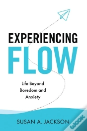 Capa do artigo Experiencing Flow