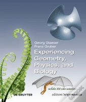 Experiencing Geometry, Physics, And Biology
