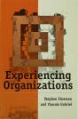 Experiencing Organizations - Preview