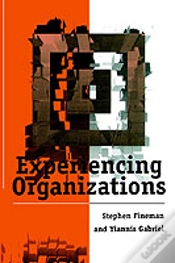 Capa do artigo Experiencing Organizations
