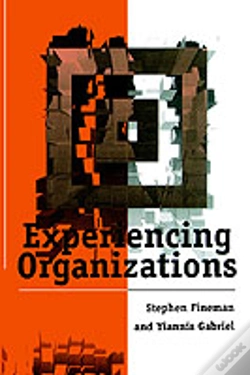 Capa do artigo Experiencing Organizations