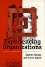 Experiencing Organizations - Preview