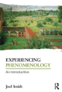 Experiencing Phenomenology - Preview