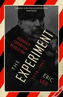 Capa do artigo Experiment