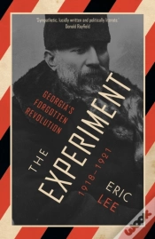 Capa do artigo Experiment