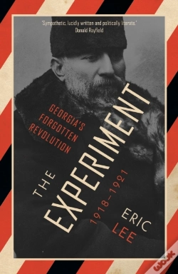 Capa do artigo Experiment