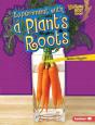 Experiment With A Plant'S Roots - Preview
