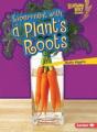 Experiment With A Plants Roots - Preview