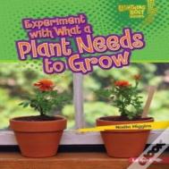 Experiment With What A Plant Needs To Grow