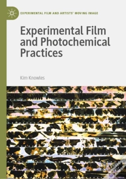 Capa do artigo Experimental Film And Photochemical Practices