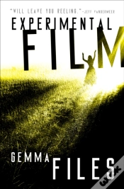 Capa do artigo Experimental Film