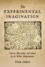 Experimental Imagination - Preview