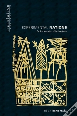 Capa do artigo Experimental Nations