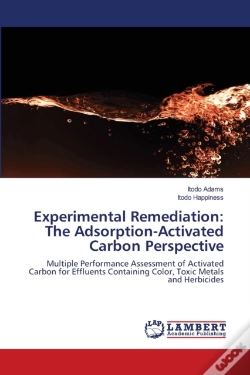 Capa do artigo Experimental Remediation