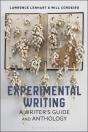 Experimental Writing - Preview