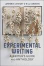 Experimental Writing - Preview