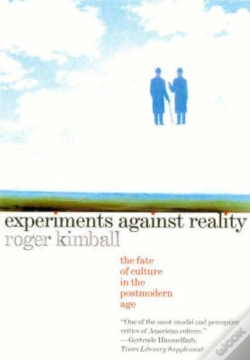 Capa do artigo Experiments Against Reality