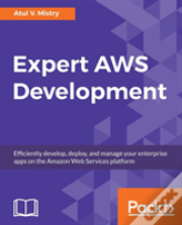 Expert Aws Development