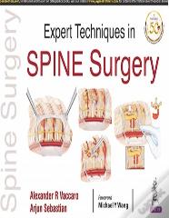 Expert Techniques In Spine Surgery