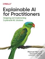 Explainable Ai For Practitioners