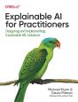 Explainable Ai For Practitioners - Preview
