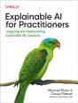 Explainable Ai For Practitioners - Preview