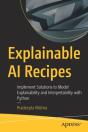 Explainable Ai Recipes - Preview