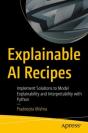 Explainable Ai Recipes - Preview