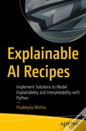 Explainable Ai Recipes