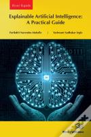 Explainable Artificial Intelligence: A Practical Guide