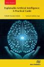 Explainable Artificial Intelligence: A Practical Guide - Preview
