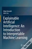 Explainable Artificial Intelligence: An Introduction To Interpretable Machine Learning