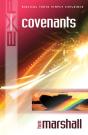 Explaining Covenants - Preview