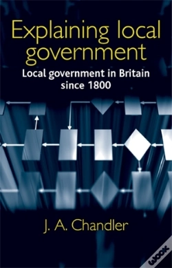 Capa do artigo Explaining Local Government